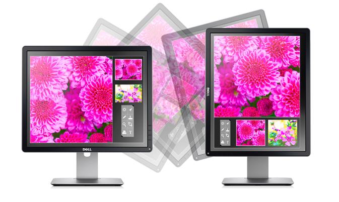 Dell 19 Monitor / E1916H - 47cm (18.5") Black - TechExpress